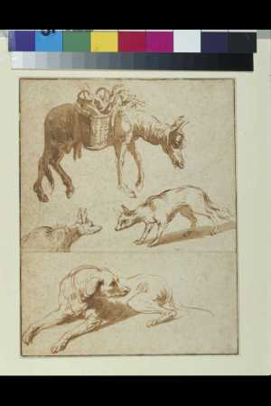 sheet-of-studies-of-a-donkey-two-foxes-and-a-dog