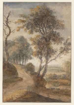 landscape-with-trees-along-a-path