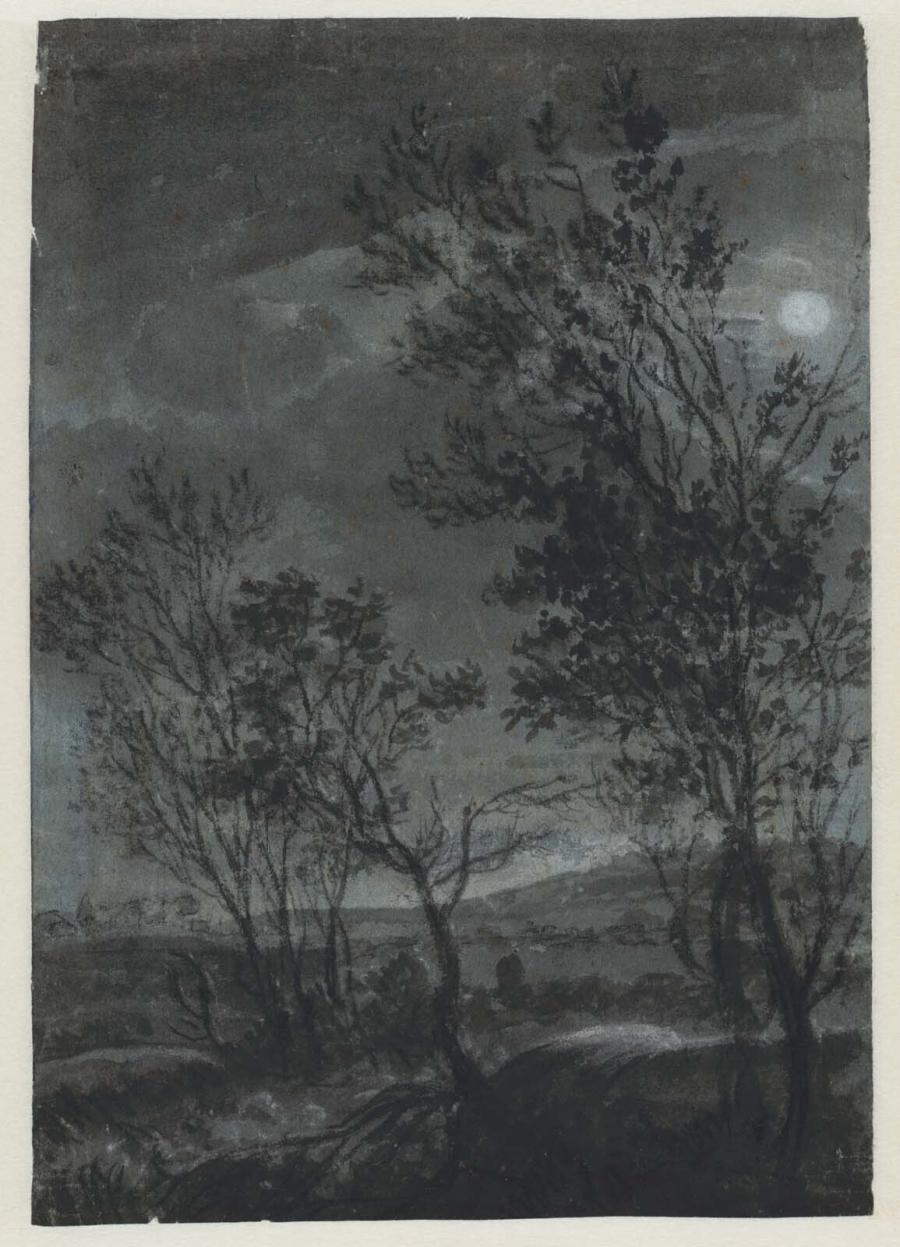 Moonlit Landscape with a Torrent between Trees