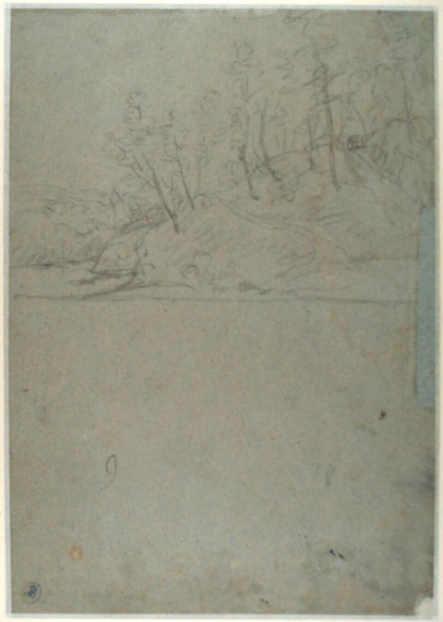 Landschap