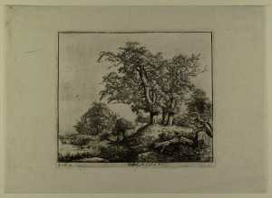 the-three-oaks