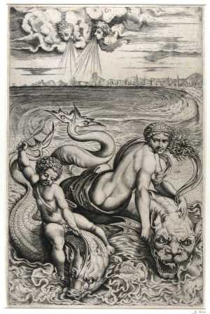 venus-en-amor-op-dolfijnen