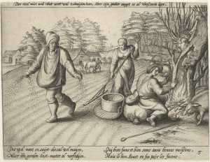 het-zaaien
