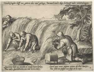 het-wieden