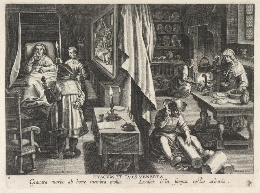 Hyacum, et lues venerea