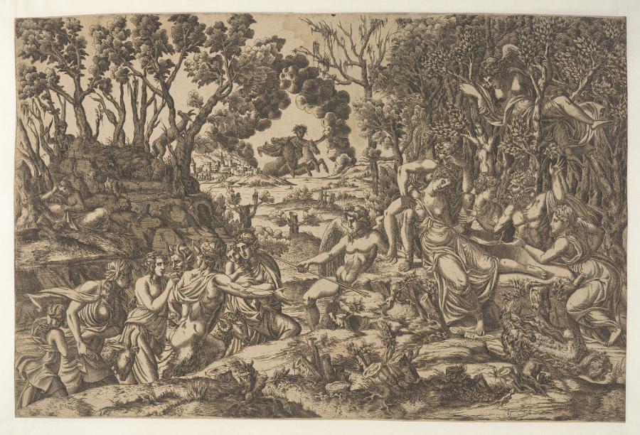 De dood van Procris