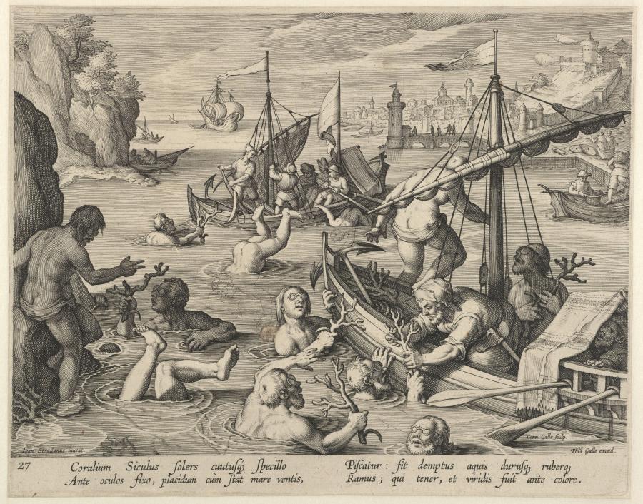 Koraalvangst