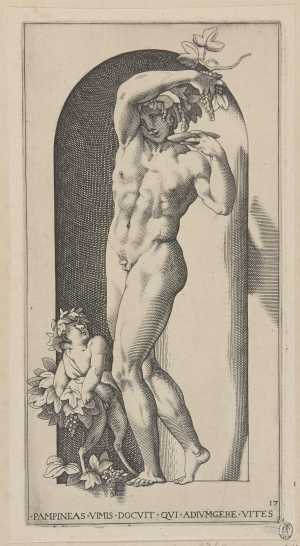 bacchus