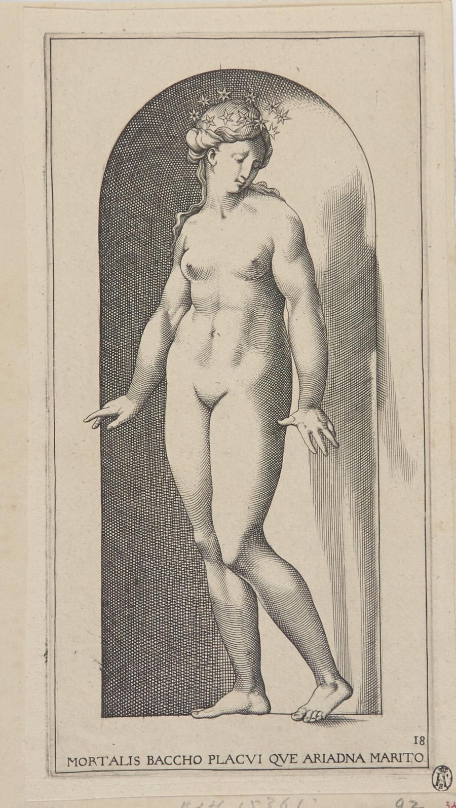 Ariadne
