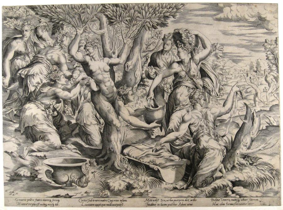 The Birth of Adonis