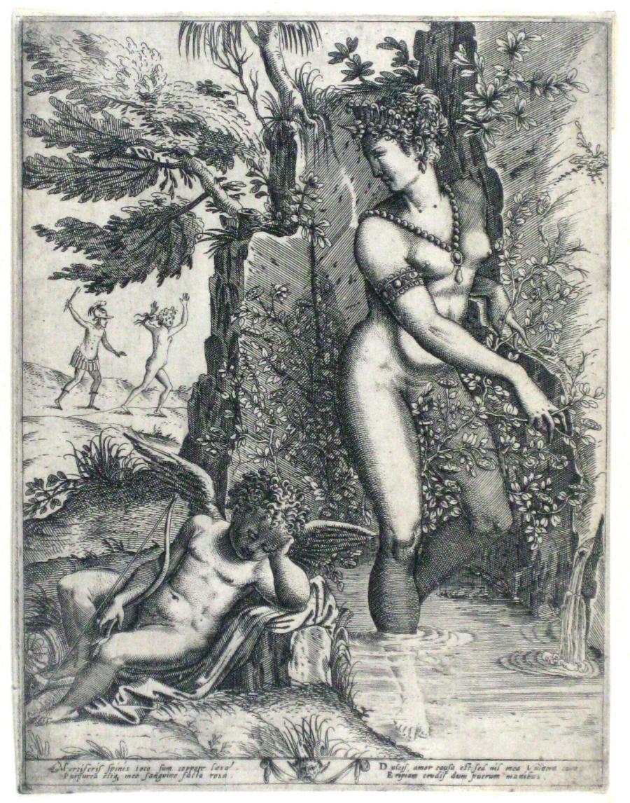 Venus verwondt zich aan een rozenstruik