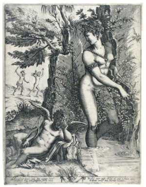 venus-and-the-rose