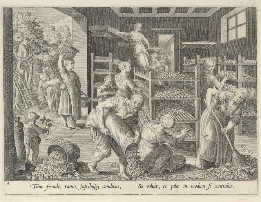 The Gathering of Mulberry Leaves and the Feeding of the Silkworms