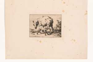 schaap-met-twee-lammeren