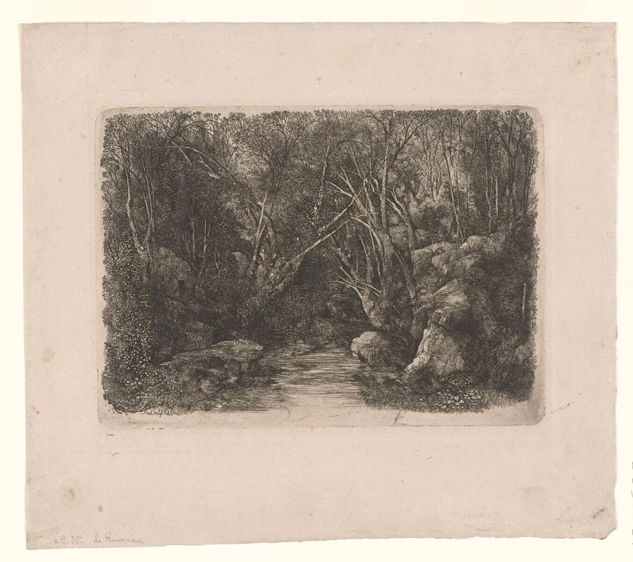 The Stream in the Woods