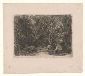 the-stream-in-the-woods