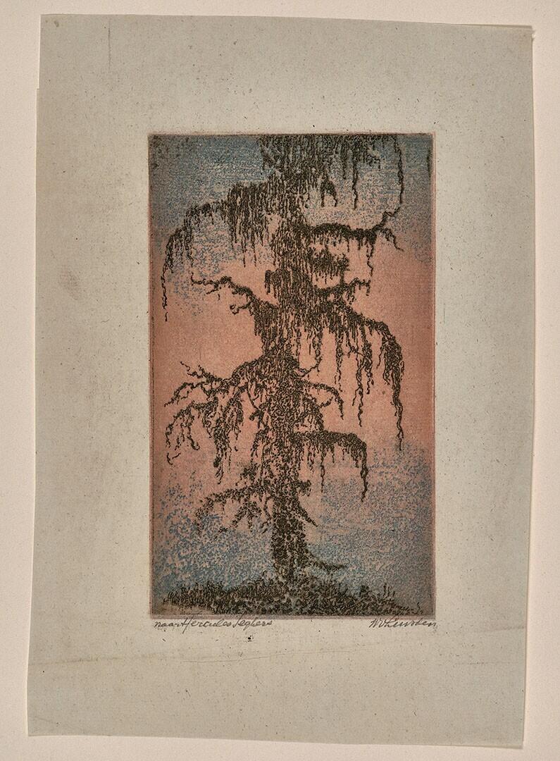 De bemoste larix