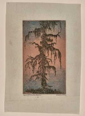 de-bemoste-larix