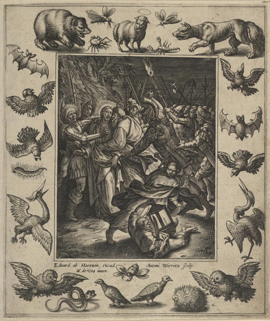 De judaskus