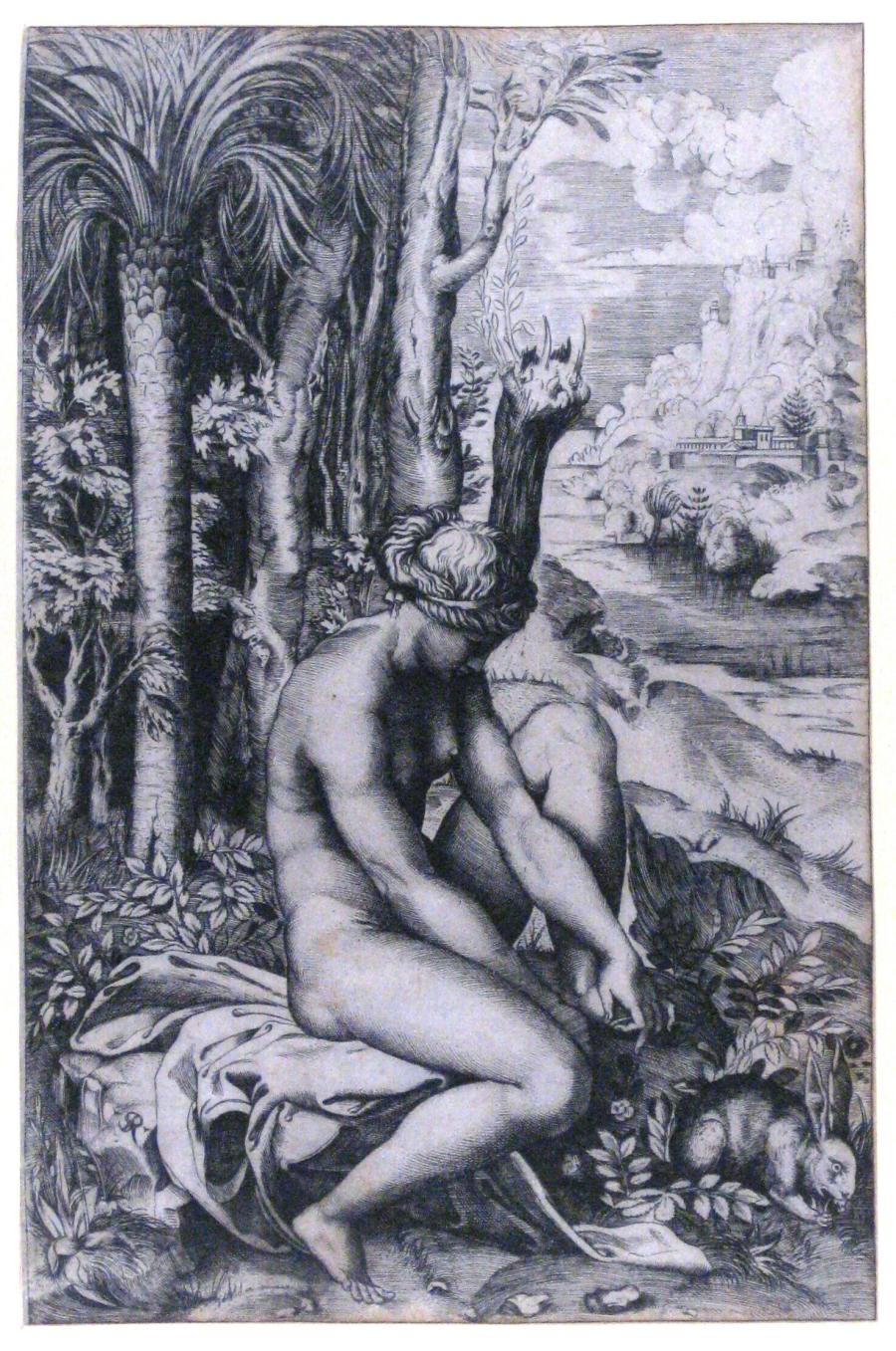 Venus gewond door een doorn