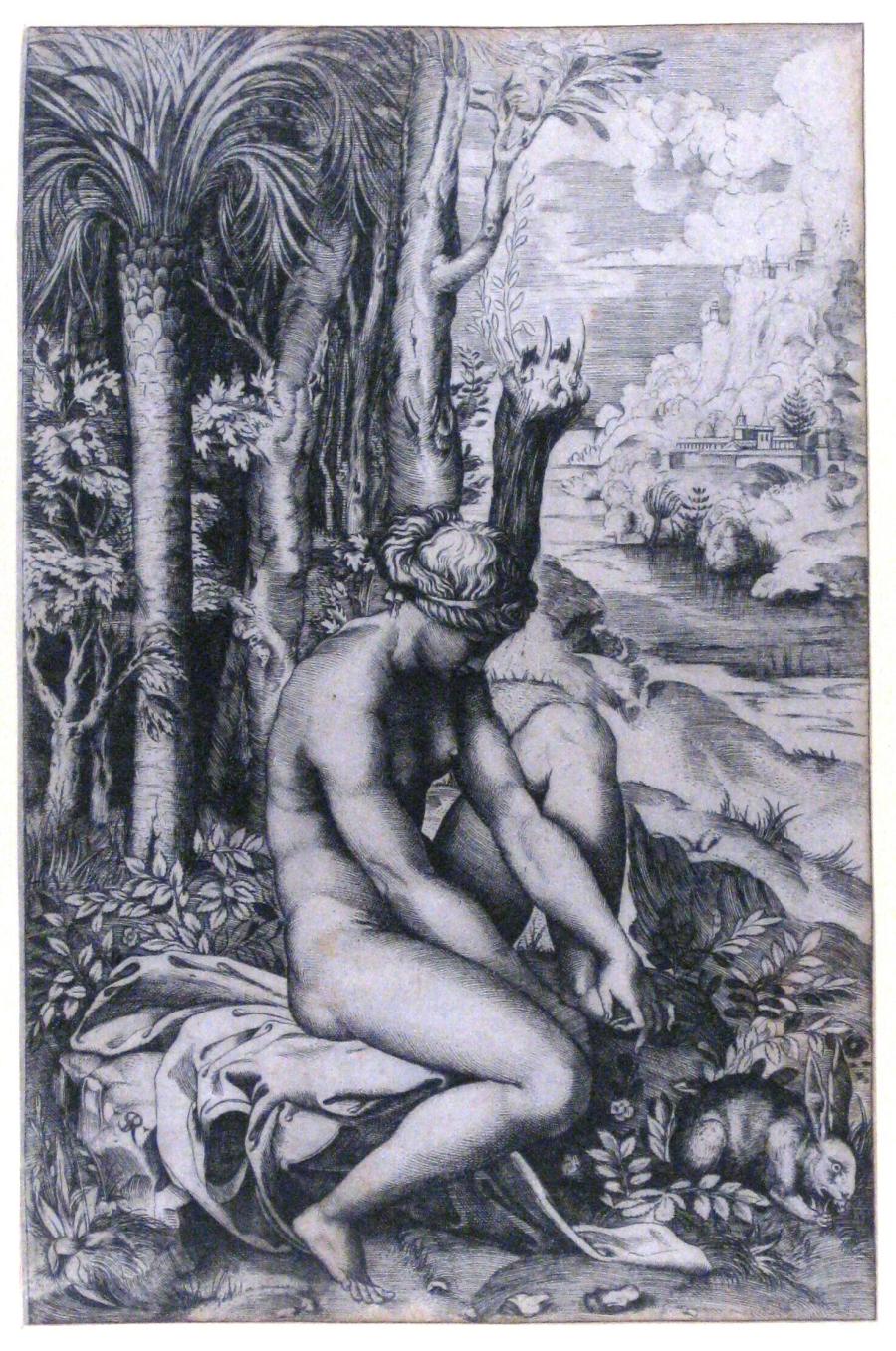 Venus gewond door een doorn
