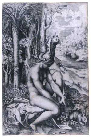 venus-gewond-door-een-doorn