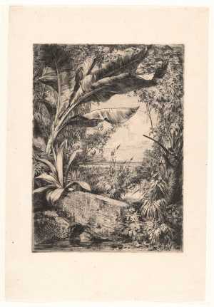 planten-bij-water