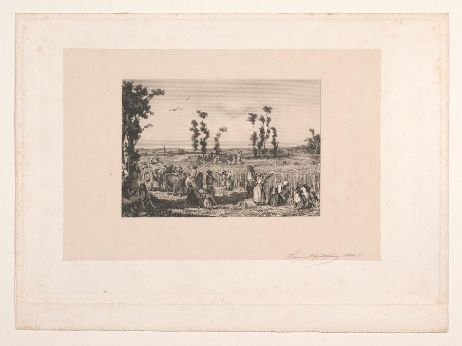 Harvesters