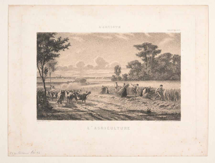 L'Agriculture