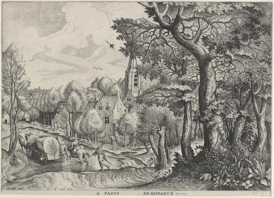 Wooded Region