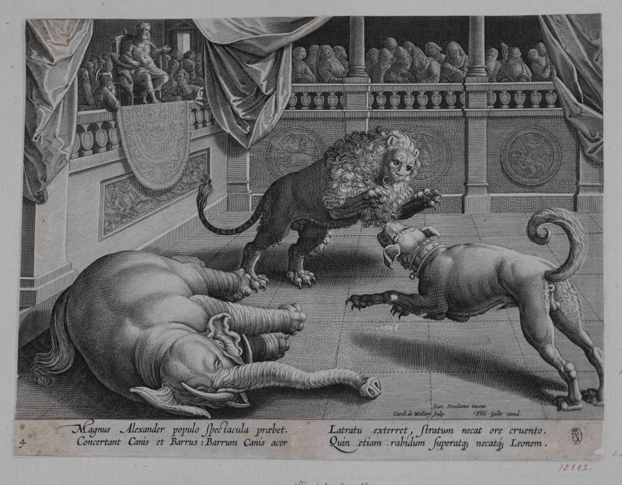 Alexander the Great Watches Animal Fight (Elephant, Lion and Dog)