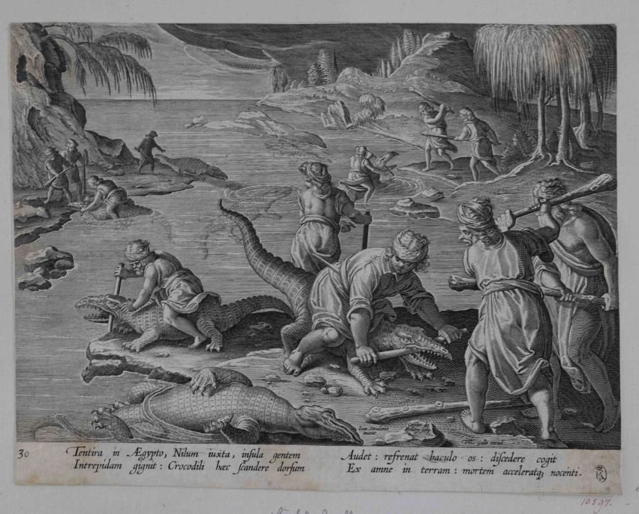 Crocodile Hunt