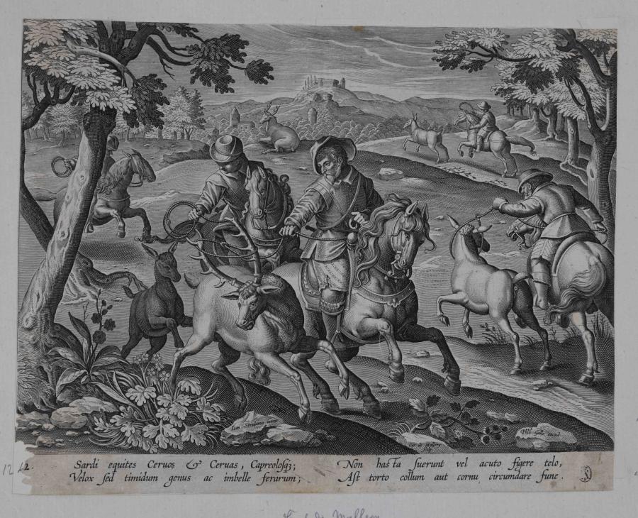 Deer Hunt