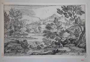 landschap