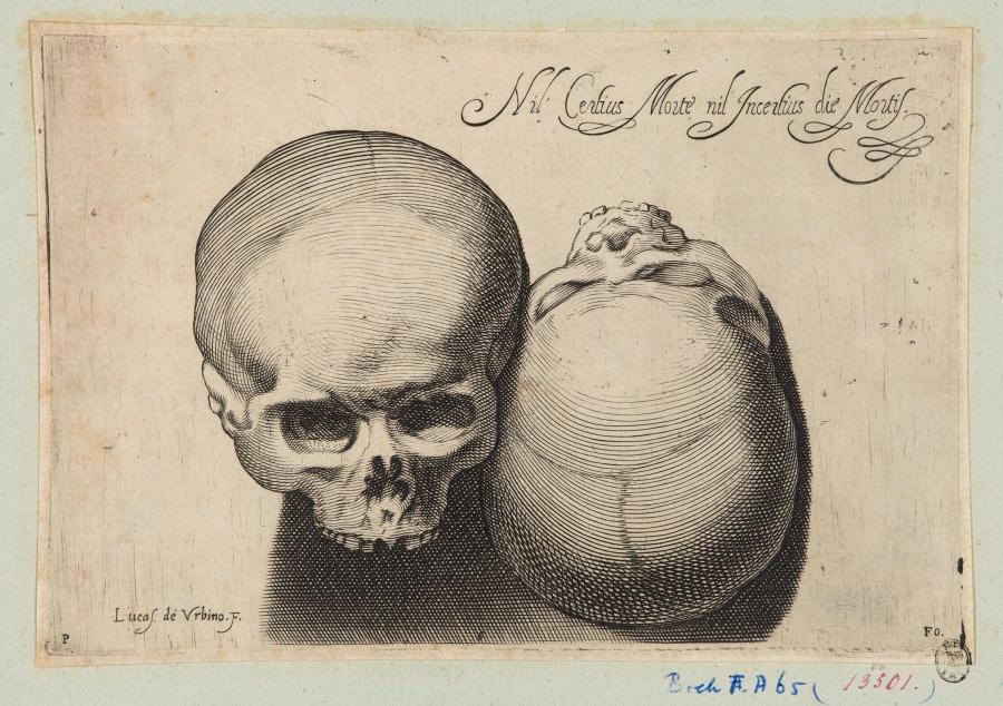 Two Human Skulls