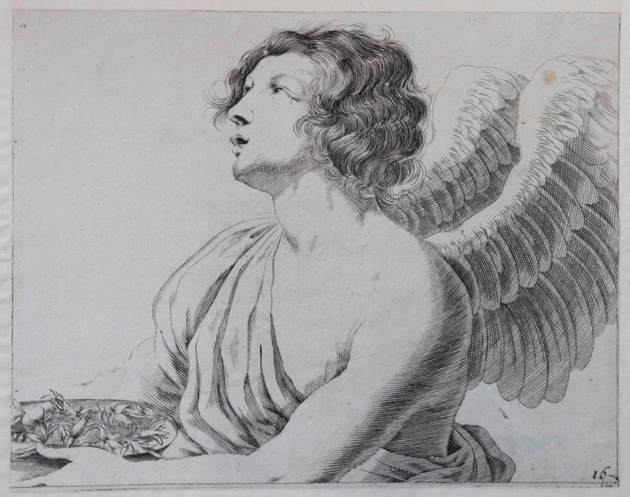 Drawing model