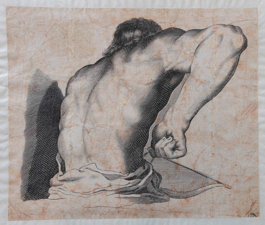 Drawing model