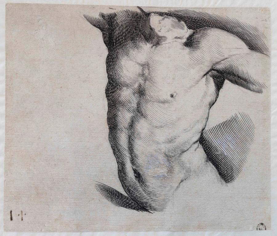 Drawing model