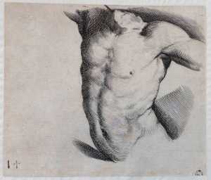 drawing-model