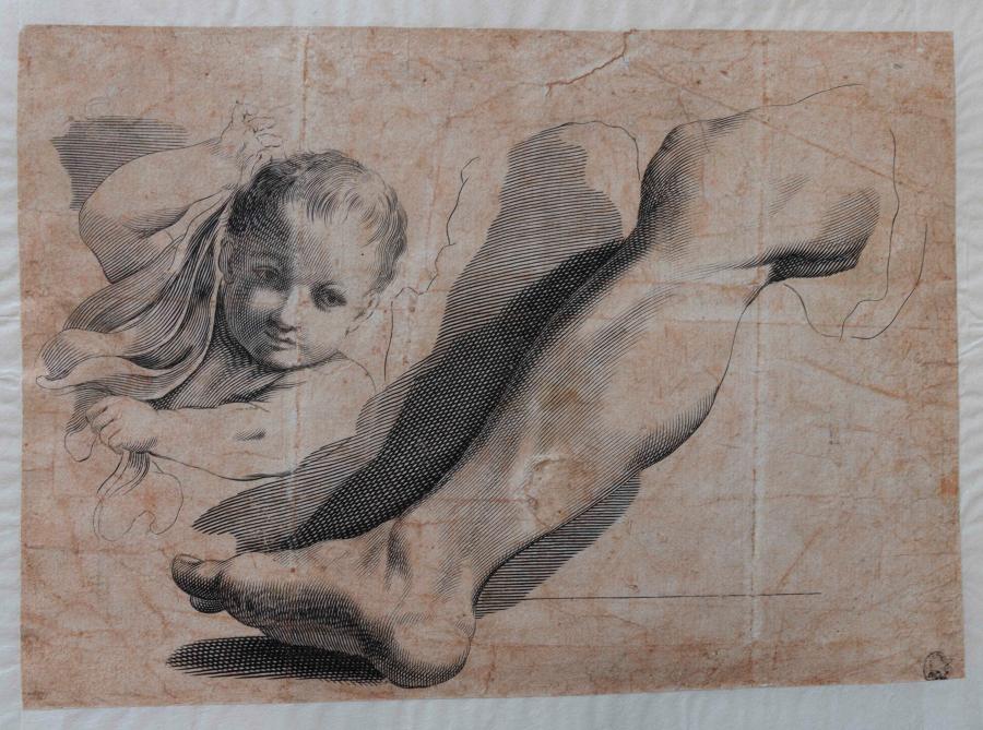 Drawing model