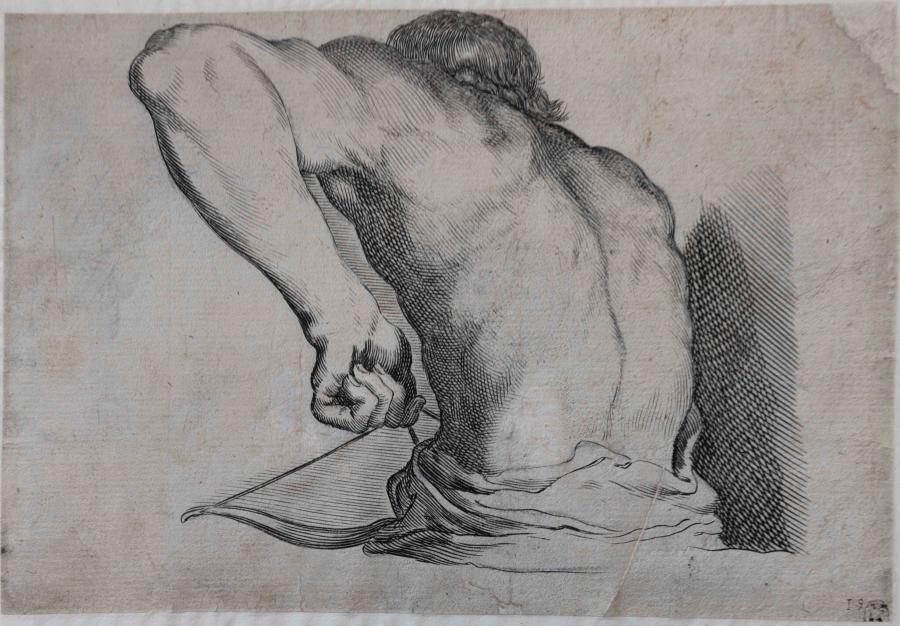 Drawing model