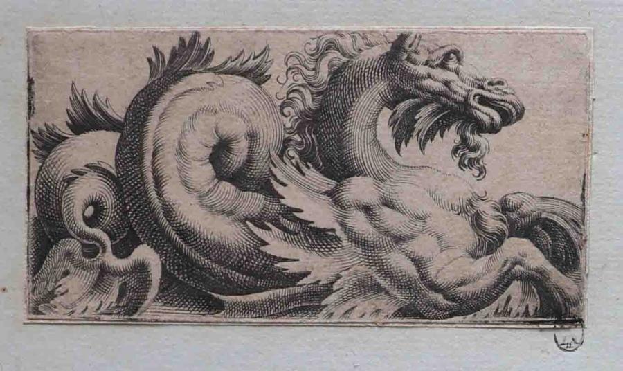 Sea Monster