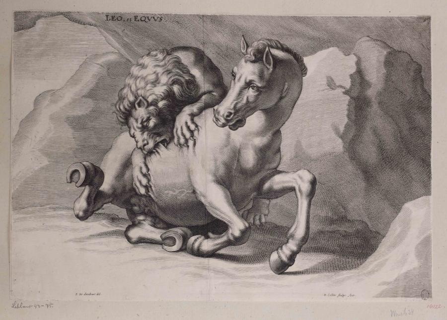 Lion Attacks Horse