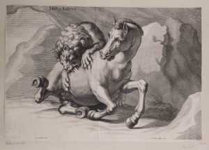 leeuw-valt-paard-aan