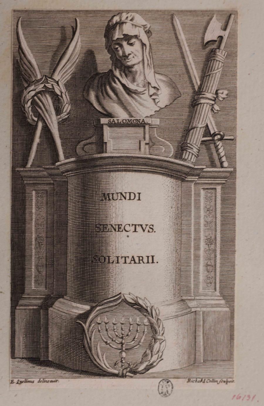 Salomona