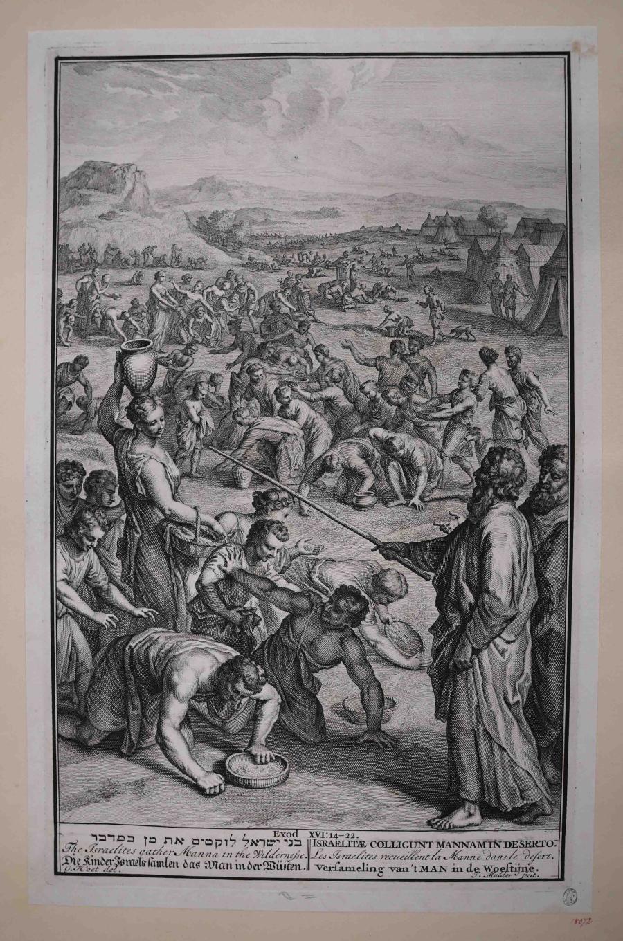 The Gathering of the Manna