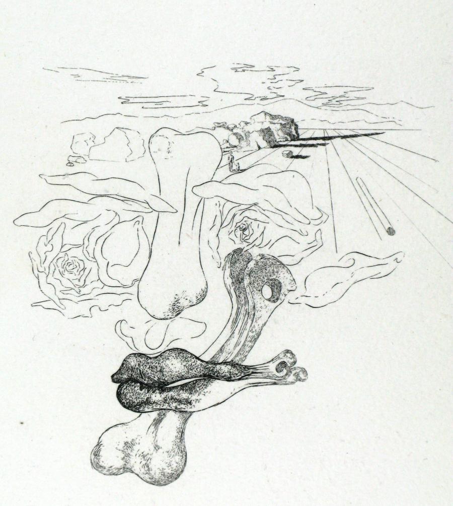 Illustratie bij 'Les chants de Maldoror'