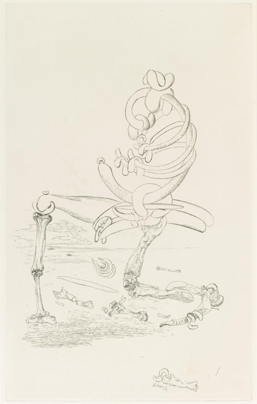 Illustratie bij 'Les chants de Maldoror'