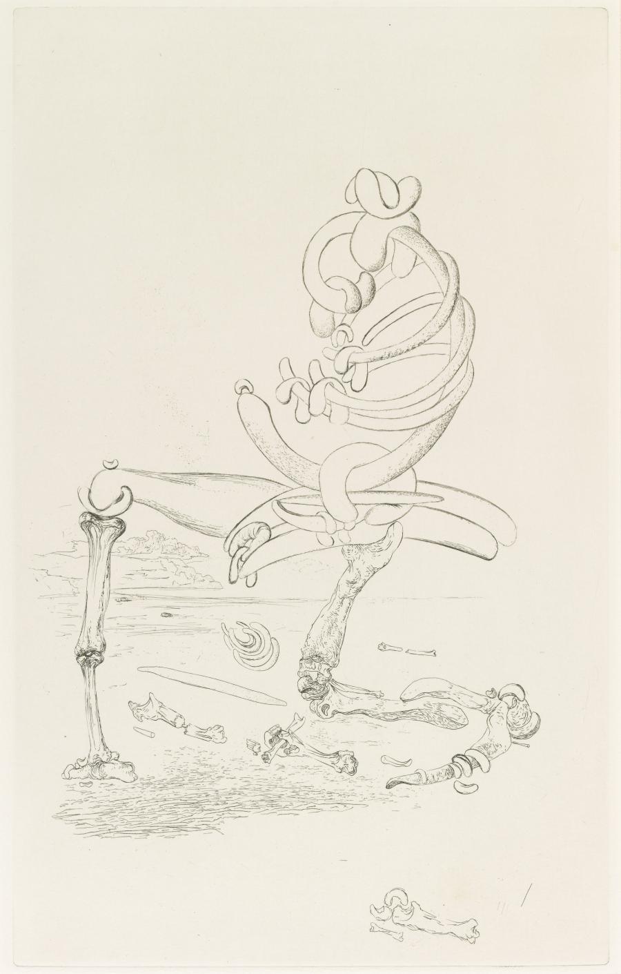 Illustratie bij 'Les chants de Maldoror'