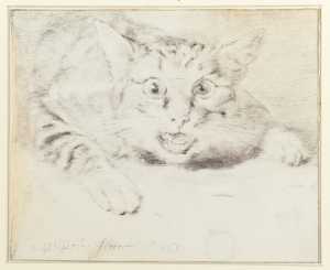 studie-van-een-blazende-kat